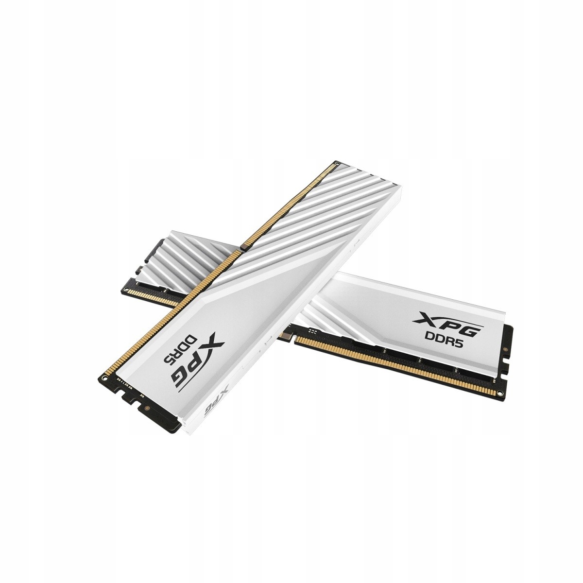 Pamäť DDR5 XPG 32GB 6400MHz CL32